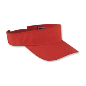 Visor